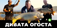 ОГОСТА ОТНОВО НИ ИЗНЕНАДА | 72 часа риболов на диво