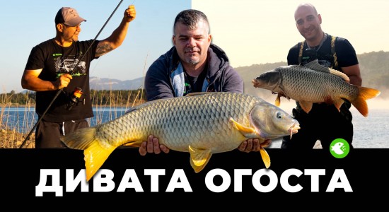 ОГОСТА ОТНОВО НИ ИЗНЕНАДА | 72 часа риболов на диво