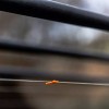 Маркиращ ластик FOX Edges Orange Marker Elastic | CARPMOJO.com