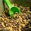 Лопатка за захранване KORDA Bait Scoop | CARPMOJO.com Лопатка за захранване KORDA Bait Scoop | CARPMOJO.com