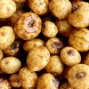 Тигров фъстък MIVARDI Tigernut 2.5kg | CARPMOJO.com