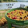 Сладка царевица BONDUELLE 850 ml, 670 g | CARPMOJO.com