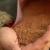 Готова ПВА смес OMC Paella Stick & Bag Mix 1kg | CARPMOJO.com