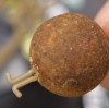Стопери за стръв KORDA Extenda Stop SMALL 180 бр. | CARPMOJO.com